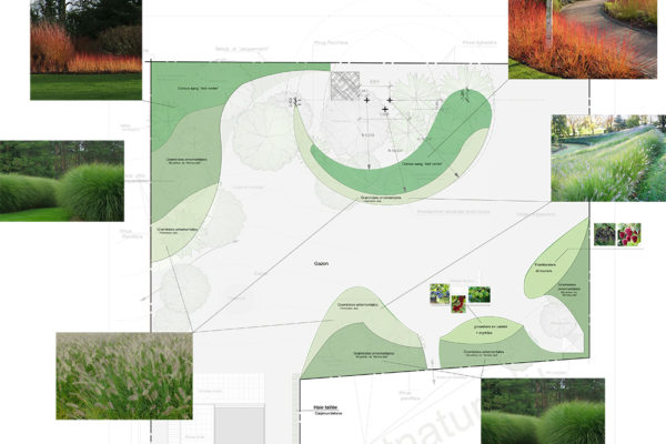 Plan masse changement + illustrations  - 1/200°
